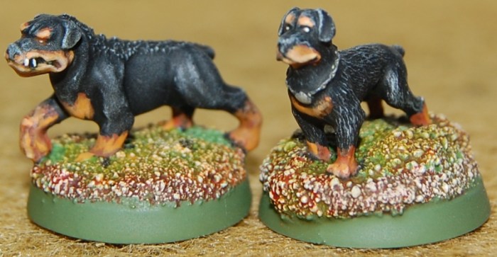 Celtos King of the Gaels' hunting hound, Brigade Models (L) Rottweiler, Bombshell Miniatures (R)