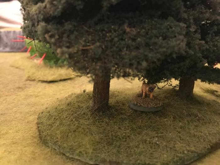 The Thing in the Woods